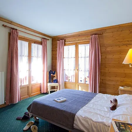 Apartment Alpina By Leavetown Vacations Les Deux Alpes